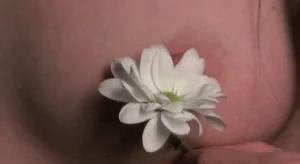 ما تريد معرفته عن تكبير الثدي ( الصدر ) Lolipop-meme