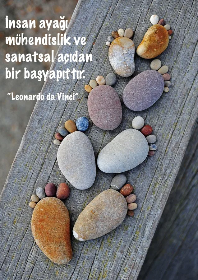 Эстетика стопы